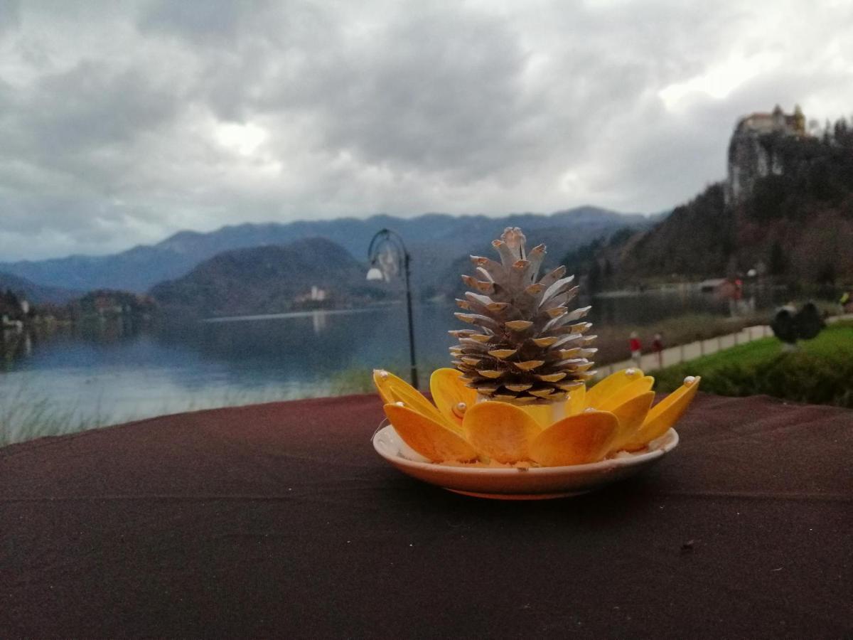 Apartma Carnica Bled Buitenkant foto